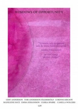 Windows of Opportunity