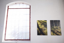 Konst och Ekologi i Lokstallet i Strömstad 2016