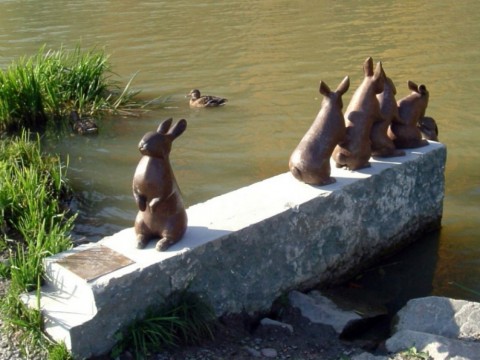 Rabbit Crossing