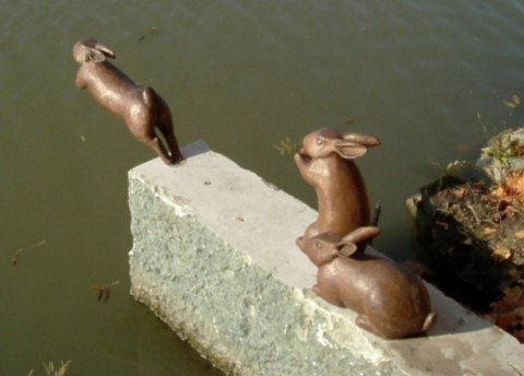 Rabbit Crossing