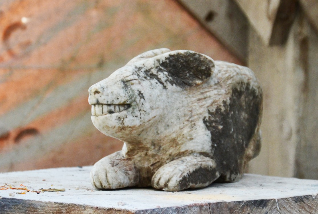 <h1><a href='/medlemmar/diana-andersson'>Diana Andersson</a></h1><h4>Oaxenkanin</h4>